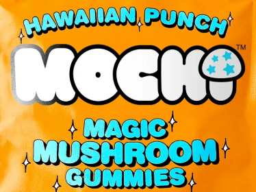 Mochi Magic Mushroom Gummies - 2 Pack