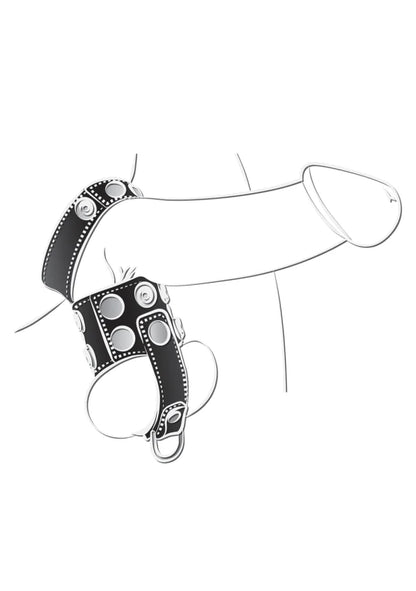 BallGear Ball Stretcher with Separator and D-Ring